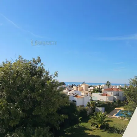 Coelho Albufeira